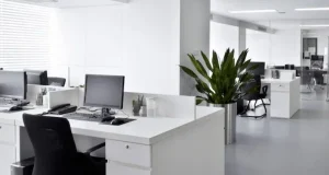 Pintores de Oficinas en Santiago